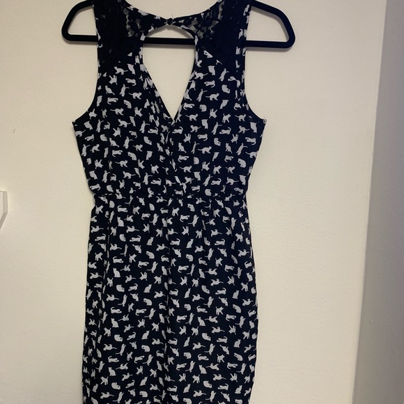 Cat / Kitten Print Black & White Forever 21 Dress - Picture 5 of 6